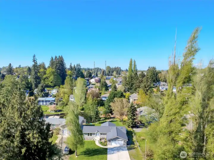 Neighborhood view with surrounding homes and greenery