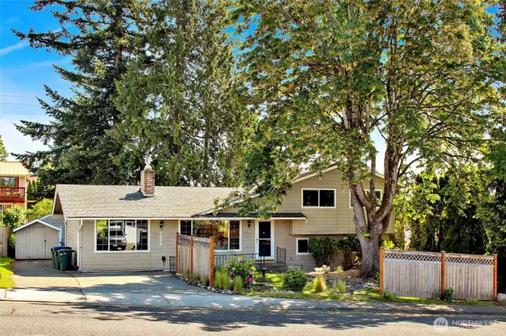Beautiful curb appeal with a massive maple tree framing the front of the home and well placed privacy fencing. Room along the side of the house for an RV or boat trailer.