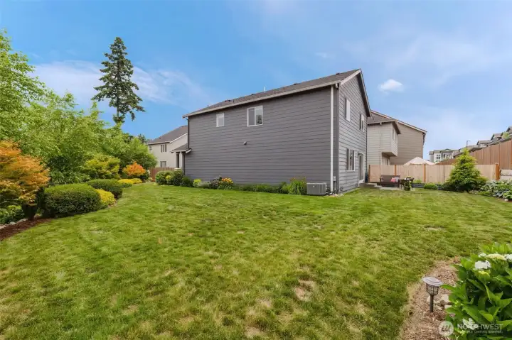 Spacious yard with pesticide free landscaping. Spacious yard with pesticide free landscaping.