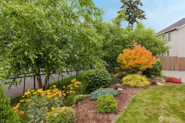 Lush landscaping Lush landscaping