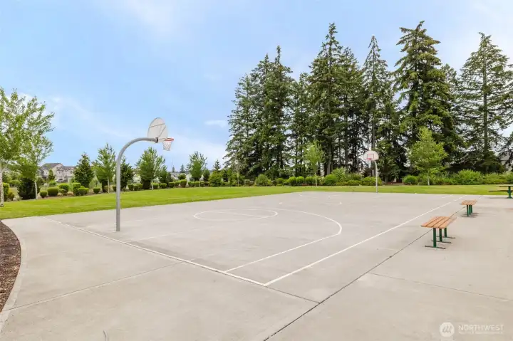 Sports court Sports court