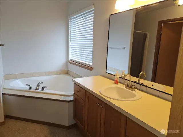 Primary bathroom, shower, soaking tub, 2nd level.