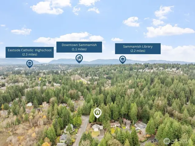 This home is ideally located near Downtown Sammamish, offering convenient access to shopping, grocery stores, and everyday essentials. Enjoy being just minutes from your local library and a variety of dining and entertainment options.