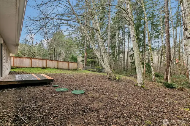 ~ A spacious backyard with endless possibilities for creating the perfect outdoor retreat. ~