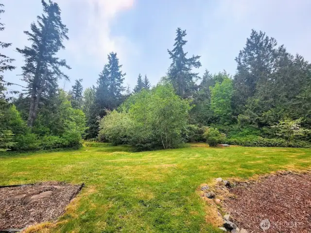 Back of Property