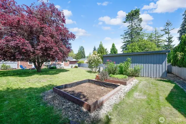 Looking back toward the house. If you install a gate across the driveway this yard would be completely fenced.