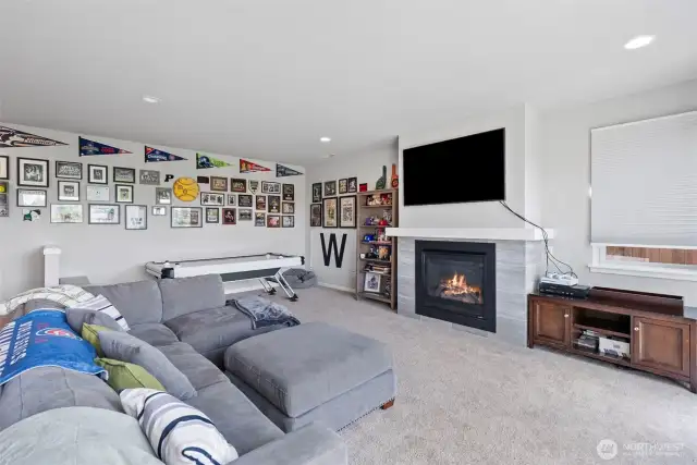Gas fireplace