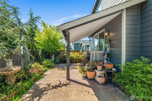 Expansive patio area