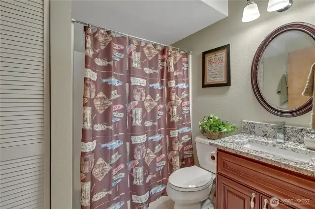 Lower level full bath