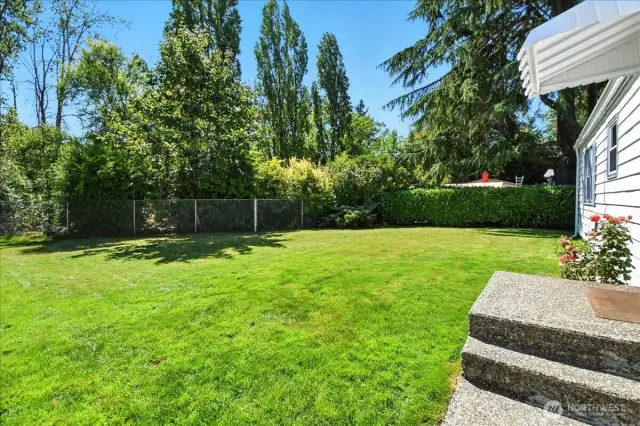 HUGE Yard!