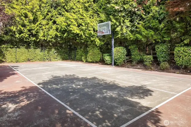 Basketball Court