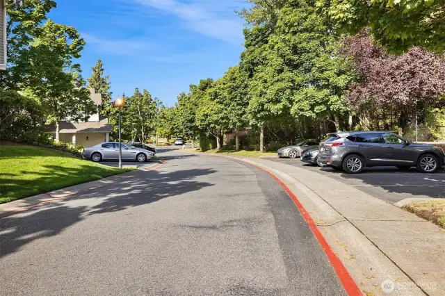 More Guest Parking