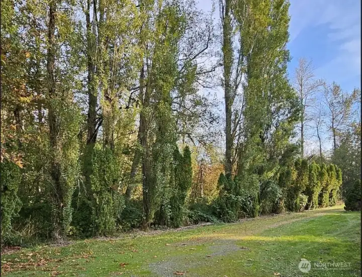 Side View from Neighbors