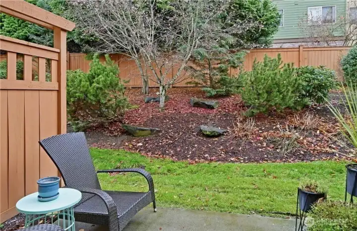 Back yard