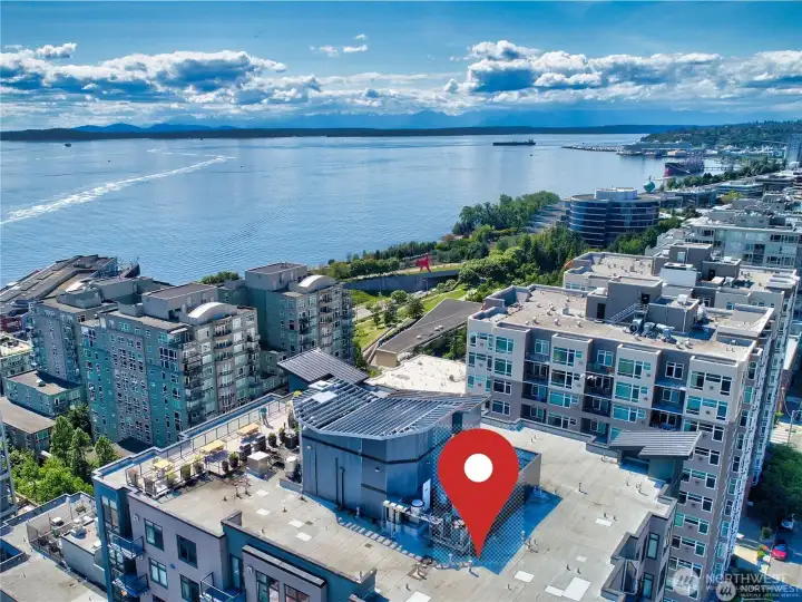 Neighboring Olympic Sculpture Park Just Beyond Avenue One!