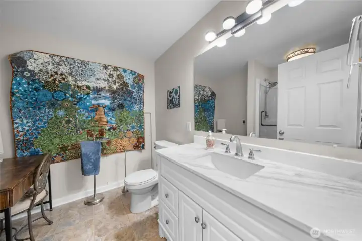 Lower bath with Walk in shower and quartz counters