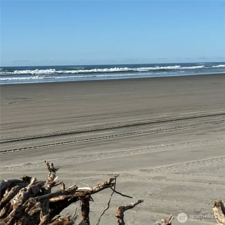 Walk to the beauty of the Pacific Ocean