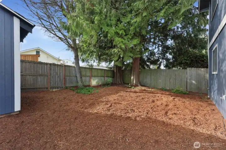 Back yard with storage shed and alley access
