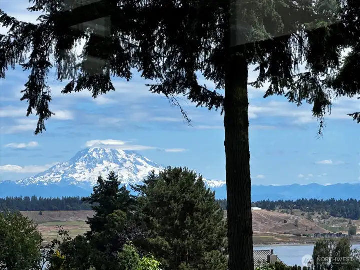 Views from dining room Chambers Bay Golf course, Mt Rainier and the Puget Sound.