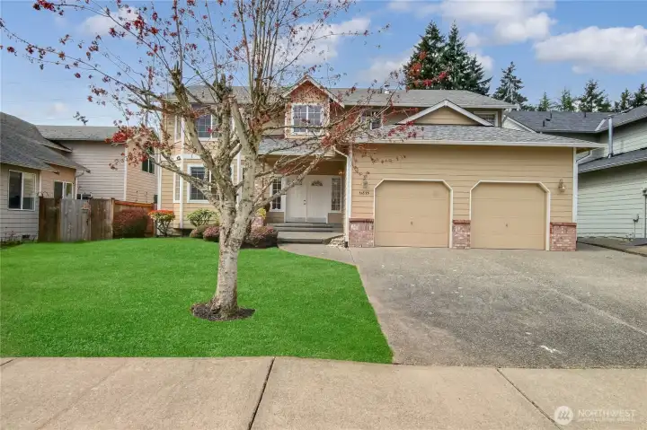 Front lawn - virtually staged