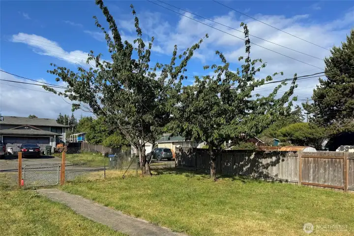 Fruit Tree Fruit Tree