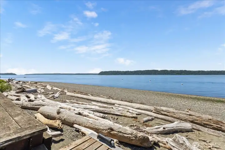 Facing South Miles of Beach Combing