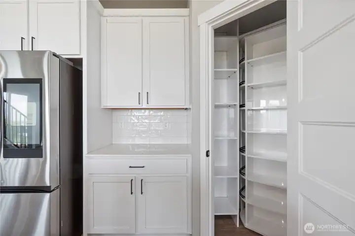 Kitchen with custom pantry