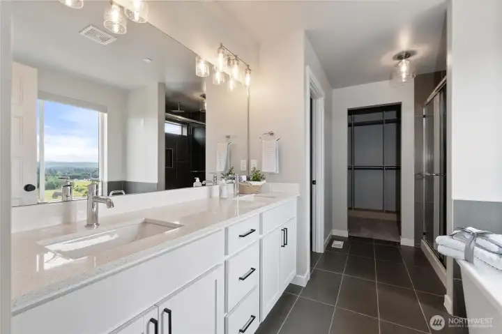 Master dual sinks