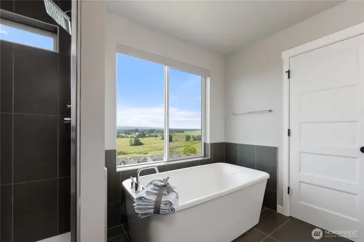 Soaking tub w/views