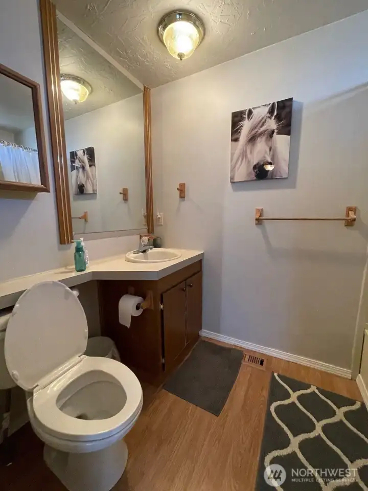Guest full bath
