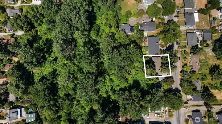 Rare double-parcel property showcasing the home's generous footprint on an expansive 17,272-square-foot lot—a unique opportunity to enjoy exceptional privacy, abundant outdoor space, and endless possibilities in the heart of Puget Ridge.