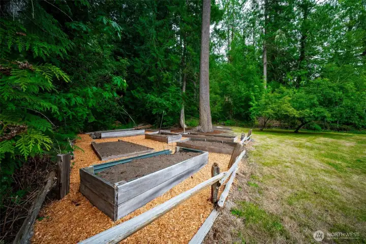 Raised garden beds are ready for your harvest Raised garden beds are ready for your harvest