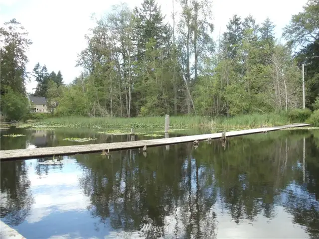 Distant view across the dock of the lake frontage taken from the very end of the dock.