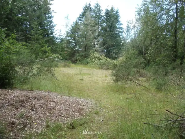 A large clearing toward the middle of the property.