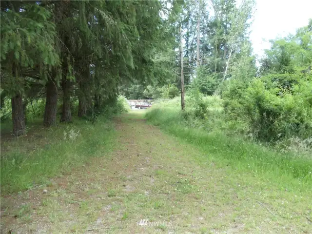 Looking north at the end of 14th Ave SE from the interior of the property.