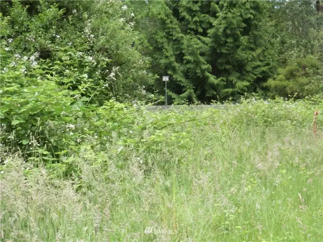 The fence is near the eastern property line.