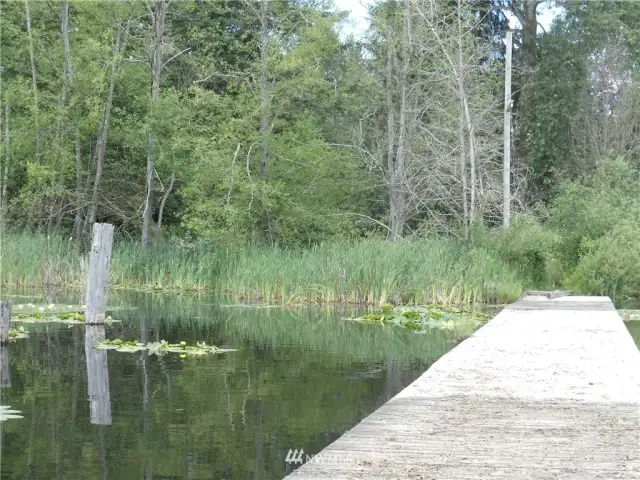 View of lake frontage from the dock.