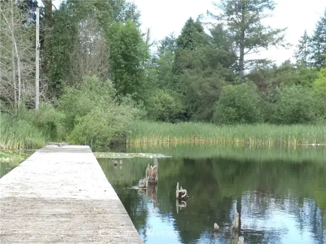 View of lake frontage from the dock.