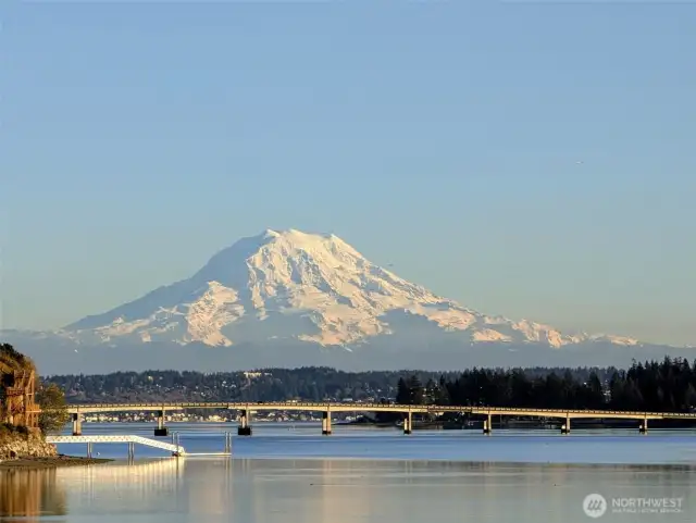Mt. Rainier in all her glory (Picture taken by owner.)