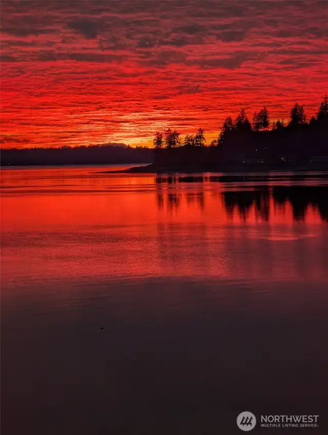 Incredible January 2025 sunset (taken by owner).