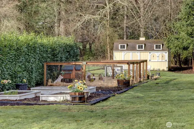 Organic garden, raised beds and herb garden for your enjoyment and farm to table dining...