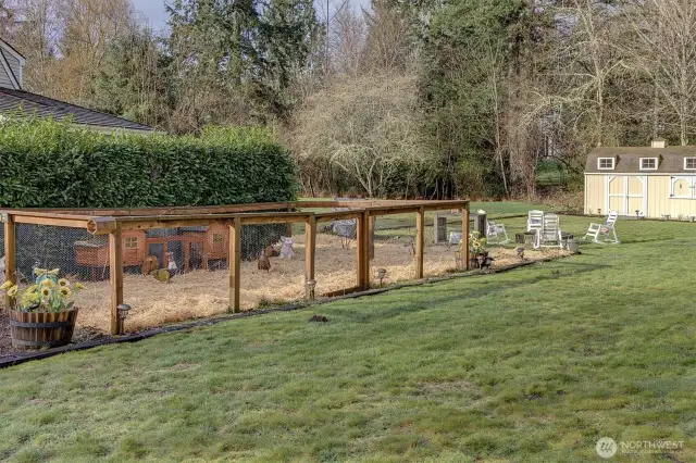 beautiful hen house, fully fenced and ready for your chicks...fresh organic eggs for breakfast!
