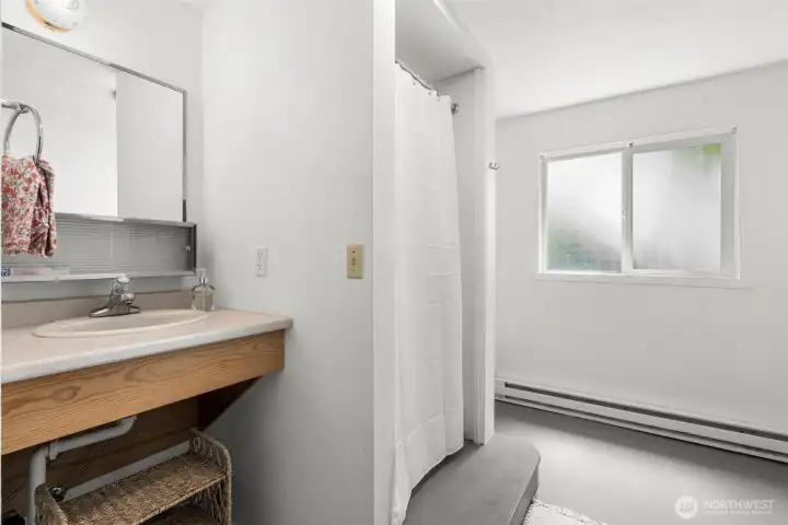 Lower level bathroom