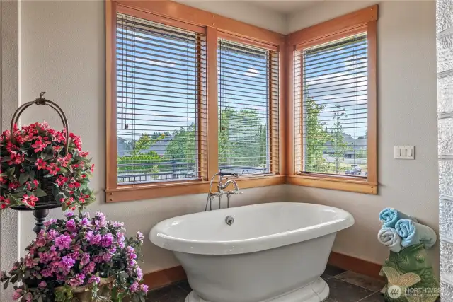 Ready to relax and take it all in?