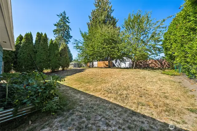 Fully fenced back yard with potential alley access if needed (potential for a garage). Buyer to verify.