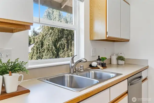 Double sinks and upgraded kitchen handle for easy dishwashing