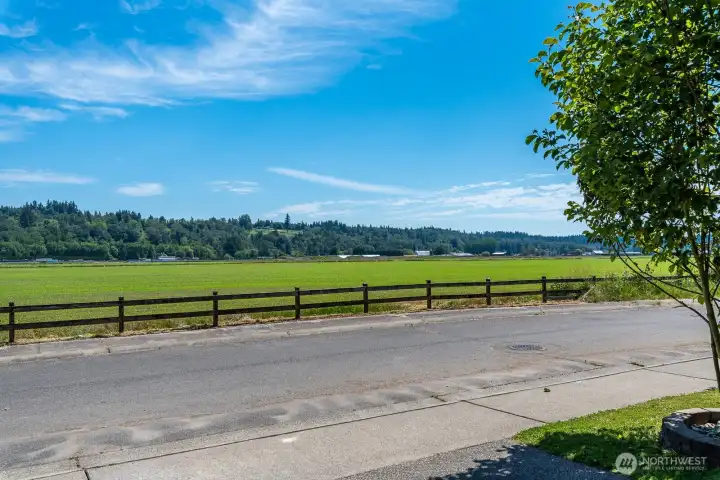 Farmland view across the street.