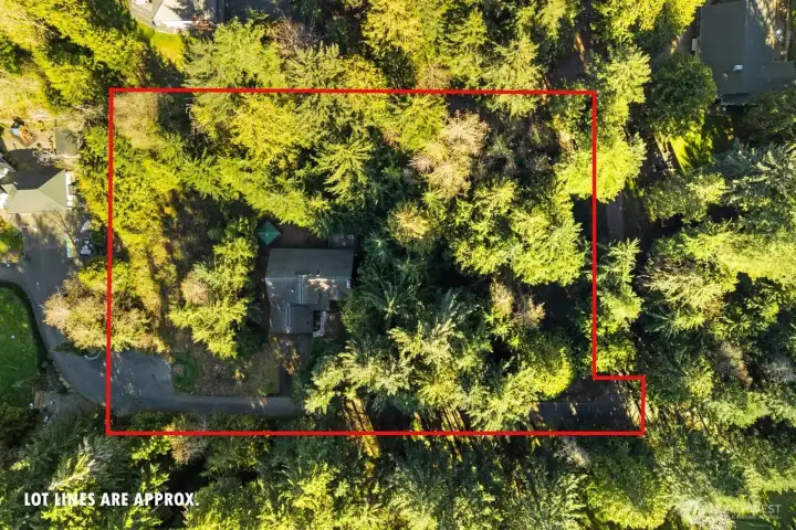 View from Above of your VERY PRIVATE 1.33 Acres!