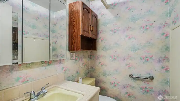 Downstairs 1/2 bath