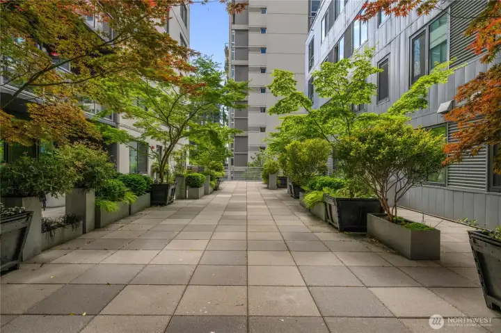 Courtyard Courtyard